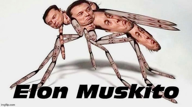 Just read what it say, then what your eyes with acid. | image tagged in memes,funny,cursed image,elon,muskito,peak graphic design | made w/ Imgflip meme maker