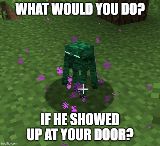 What would you do if he came to your door? | WHAT WOULD YOU DO? IF HE SHOWED UP AT YOUR DOOR? | image tagged in memes,funny,minecraft,minecraft memes | made w/ Imgflip meme maker