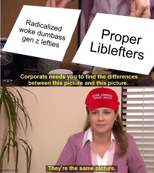 Amrekika | Radicalized woke dumbass gen z lefties; Proper Liblefters | image tagged in memes,they're the same picture,maga,donald trump,trump,dumbass | made w/ Imgflip meme maker