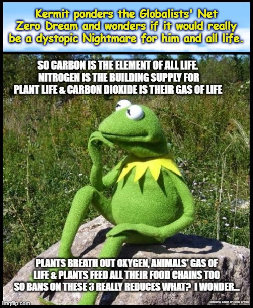 Kermit ponders the Globalists' Net Zero Dream and wonders if it would really be a dystopic Nightmare for him and all life. Repost w/ addon by Tigger & Willy | made w/ Imgflip meme maker