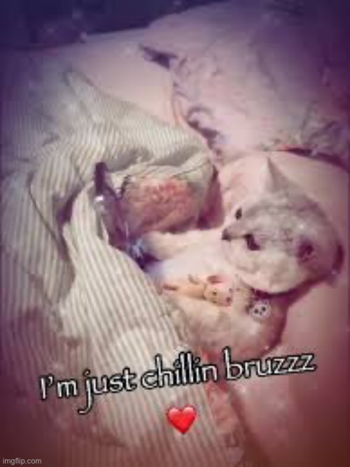 I'm just chillin bruzzz | image tagged in i'm just chillin bruzzz | made w/ Imgflip meme maker