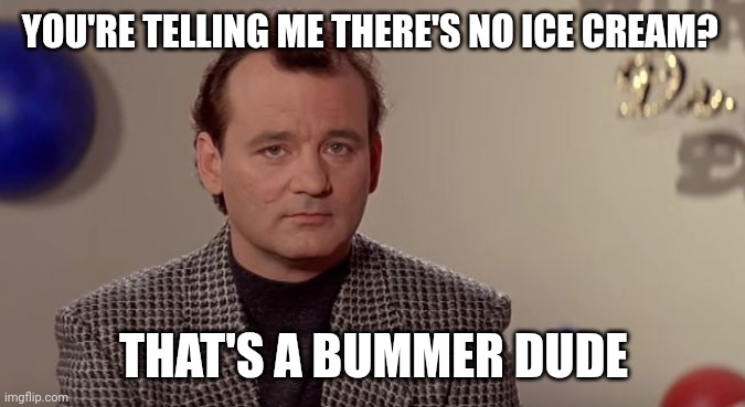 Ice Cream | YOU'RE TELLING ME THERE'S NO ICE CREAM? THAT'S A BUMMER DUDE | image tagged in bummer,funny memes | made w/ Imgflip meme maker