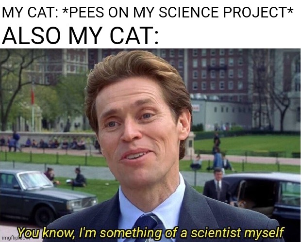 Nooo! What are you doing! | ALSO MY CAT:; MY CAT: *PEES ON MY SCIENCE PROJECT* | image tagged in you know i'm something of a scientist my self,memes,funny,science,science cat,cats | made w/ Imgflip meme maker