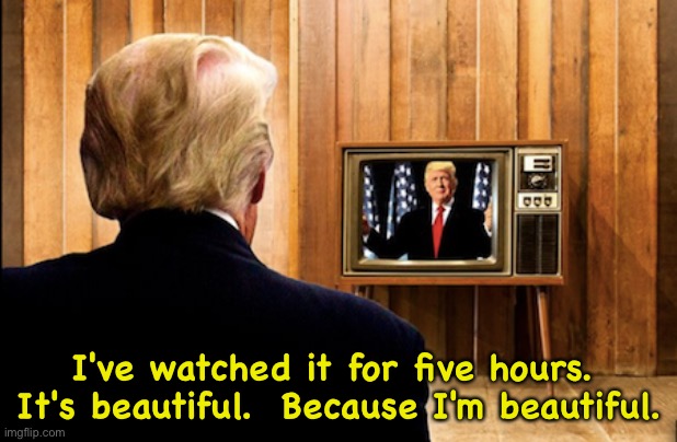 Total narcissist, Trump loving Trump. | I've watched it for five hours.  It's beautiful.  Because I'm beautiful. | image tagged in trump watching trump on tv | made w/ Imgflip meme maker