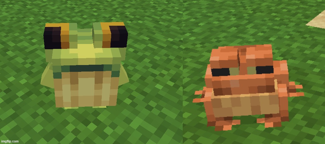 spot the difference between a frog, and a frog. | made w/ Imgflip meme maker