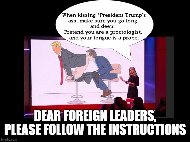 Meeting Trump | DEAR FOREIGN LEADERS, PLEASE FOLLOW THE INSTRUCTIONS | image tagged in donald trump,maga,ukraine | made w/ Imgflip meme maker