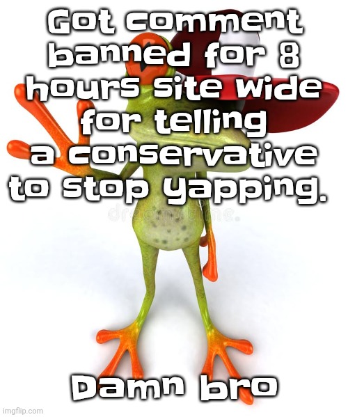 #freenat | Got comment banned for 8 hours site wide for telling a conservative to stop yapping. Damn bro | image tagged in frawg | made w/ Imgflip meme maker