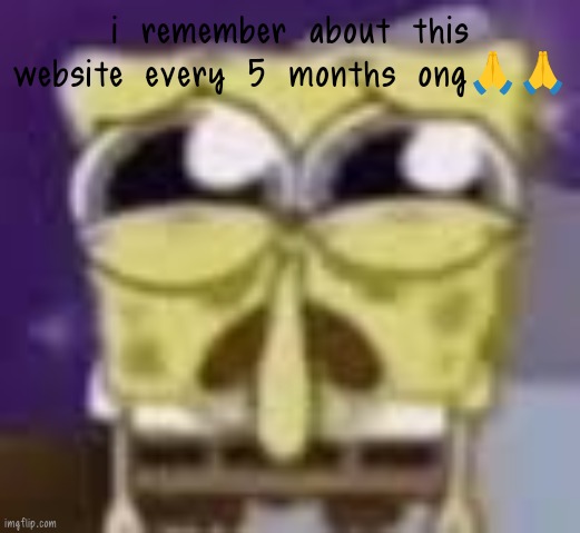 Spunchbop all sad n shit | i remember about this website every 5 months ong🙏🙏 | image tagged in spunchbop all sad n shit | made w/ Imgflip meme maker