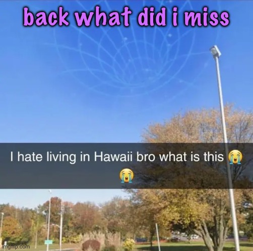 I hate living in Hawaii bro what is this | back what did i miss | image tagged in i hate living in hawaii bro what is this | made w/ Imgflip meme maker