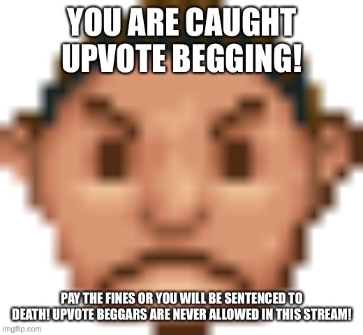 No upvote begging violation | image tagged in no upvote begging violation | made w/ Imgflip meme maker