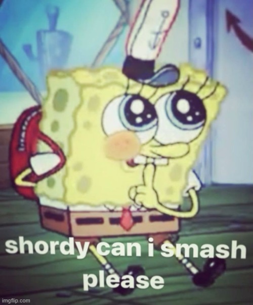 shordy can I smash please | image tagged in shordy can i smash please | made w/ Imgflip meme maker