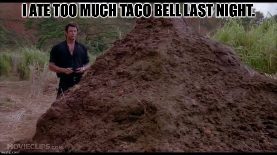 I nearly crapped myself to death. | I ATE TOO MUCH TACO BELL LAST NIGHT. | image tagged in that is one big pile of shit | made w/ Imgflip meme maker