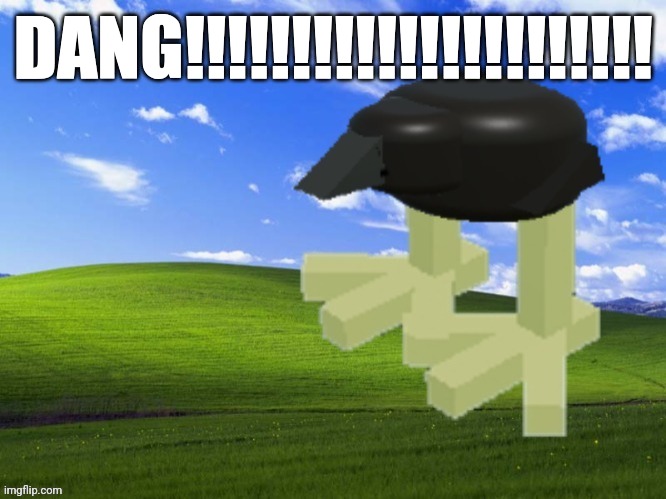 DANG!!!!!!!!!!!!!!!!!!!!!! | DANG!!!!!!!!!!!!!!!!!!!!!! | image tagged in dang | made w/ Imgflip meme maker