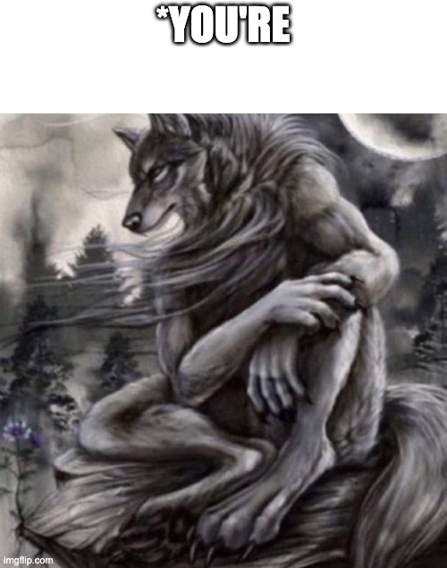 Alpha wolf | *YOU'RE | image tagged in alpha wolf | made w/ Imgflip meme maker