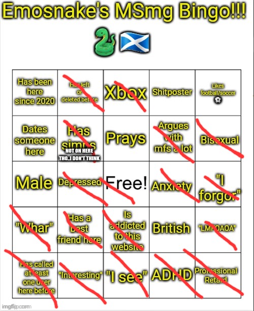 Emosnake's MSmg bingo | NOT ON HERE THO..I DON'T THINK | image tagged in emosnake's msmg bingo | made w/ Imgflip meme maker