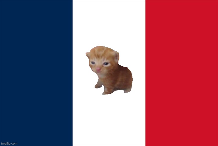 flag of catville city | image tagged in flag of france | made w/ Imgflip meme maker