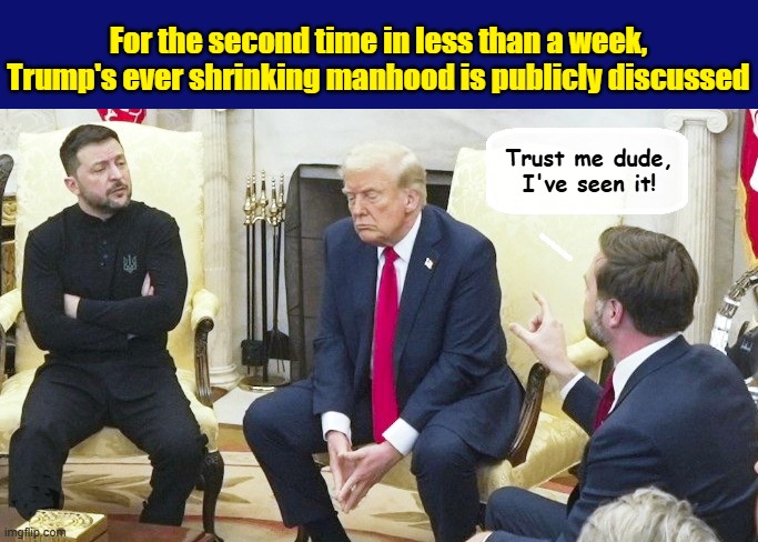 JD Vance Argues That 2 Inches Is Considered 'Average' In Both Republican & Maga Circles | For the second time in less than a week, Trump's ever shrinking manhood is publicly discussed; Trust me dude, I've seen it! | image tagged in donald trump is an idiot,donald trump the clown,vice president,russo-ukrainian war | made w/ Imgflip meme maker