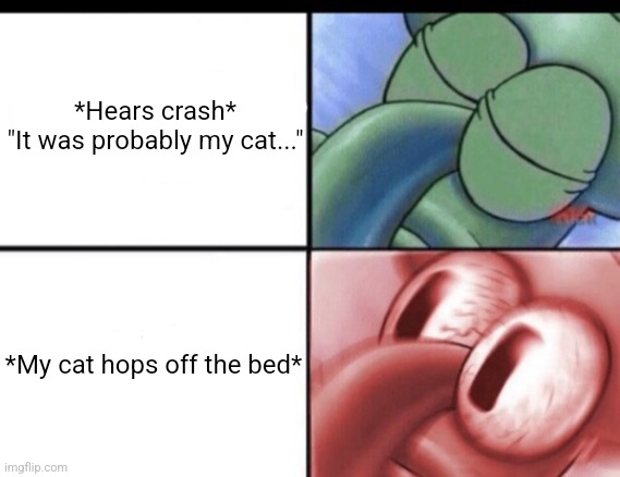 Squidward sleeping | *Hears crash*
"It was probably my cat..."; *My cat hops off the bed* | image tagged in squidward sleeping,memes,funny,cats,oh no | made w/ Imgflip meme maker