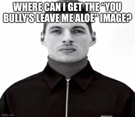 WHERE CAN I GET THE “YOU BULLY’S LEAVE ME ALOE” IMAGE? | image tagged in black and white max verstappen | made w/ Imgflip meme maker