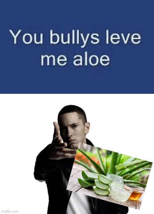 Here’s your aloe | image tagged in you bullys leve me aloe,eminem throw | made w/ Imgflip meme maker