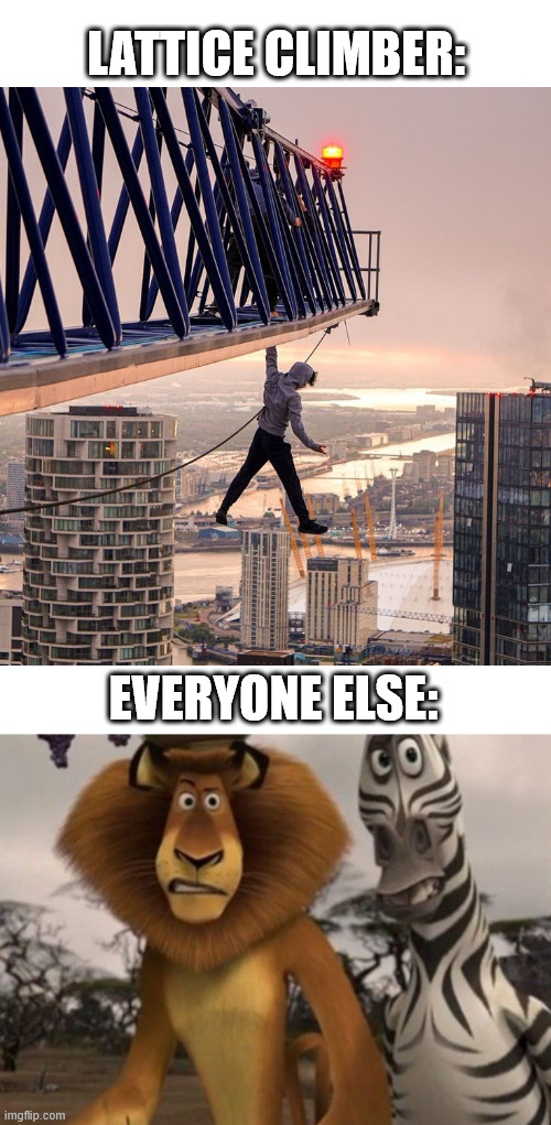 Alex and Marty | LATTICE CLIMBER:; EVERYONE ELSE: | image tagged in heavy metal lattice climbing,lattice climbing,madagascar,alex the lion,marty,movie | made w/ Imgflip meme maker