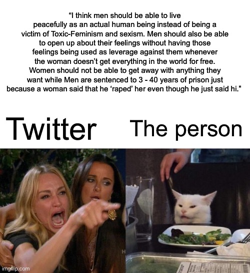 Twitter women☕️ | “I think men should be able to live peacefully as an actual human being instead of being a victim of Toxic-Feminism and sexism. Men should also be able to open up about their feelings without having those feelings being used as leverage against them whenever the woman doesn’t get everything in the world for free. Women should not be able to get away with anything they want while Men are sentenced to 3 - 40 years of prison just because a woman said that he ‘raped’ her even though he just said hi.”; Twitter; The person | image tagged in memes,woman yelling at cat | made w/ Imgflip meme maker