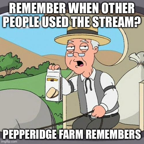 Pepperidge Farm Remembers | REMEMBER WHEN OTHER PEOPLE USED THE STREAM? PEPPERIDGE FARM REMEMBERS | image tagged in memes,pepperidge farm remembers | made w/ Imgflip meme maker