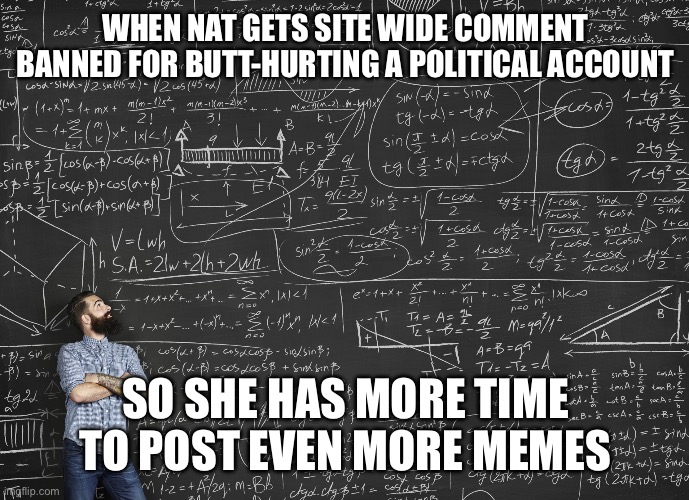 Nat got unleashed, not banned | WHEN NAT GETS SITE WIDE COMMENT BANNED FOR BUTT-HURTING A POLITICAL ACCOUNT; SO SHE HAS MORE TIME TO POST EVEN MORE MEMES | image tagged in calculations,banned,comment,website,memes | made w/ Imgflip meme maker