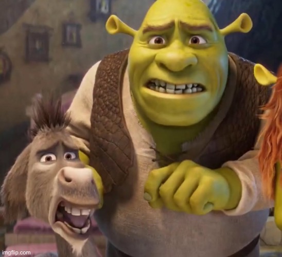 Shrek and donkey | image tagged in shrek and donkey | made w/ Imgflip meme maker