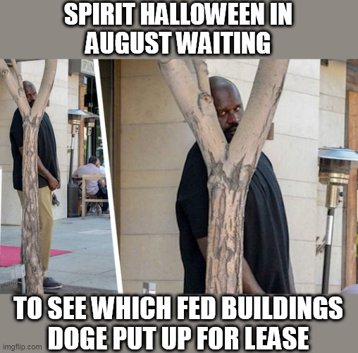 Spirit Halloween Leasing Fed Buildings from DOGE | SPIRIT HALLOWEEN IN
AUGUST WAITING; TO SEE WHICH FED BUILDINGS
DOGE PUT UP FOR LEASE | image tagged in shaq hiding | made w/ Imgflip meme maker