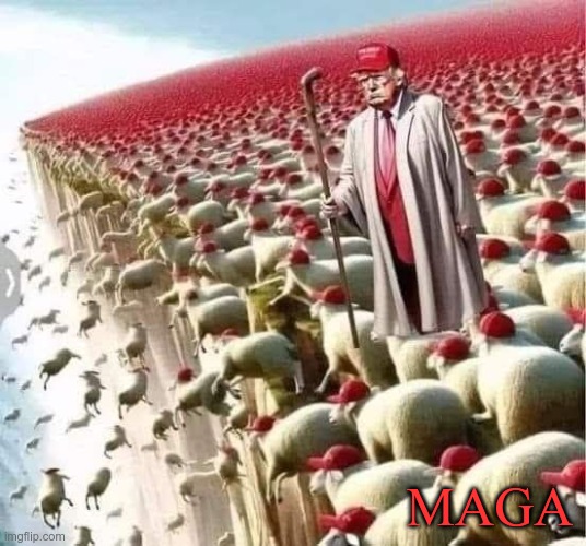 It's a Cult | MAGA | image tagged in trump,gop,maga,nazis,fascist,cult | made w/ Imgflip meme maker