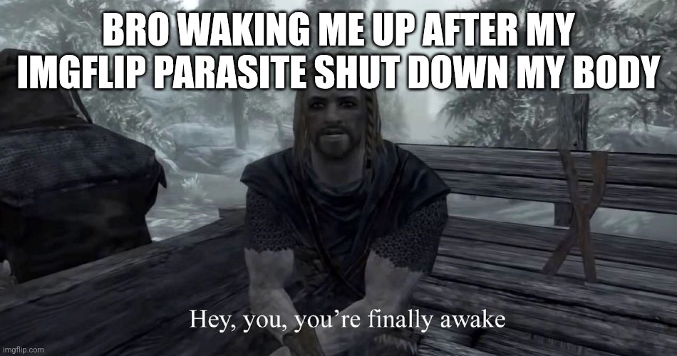 your finally awake | BRO WAKING ME UP AFTER MY IMGFLIP PARASITE SHUT DOWN MY BODY | image tagged in your finally awake | made w/ Imgflip meme maker