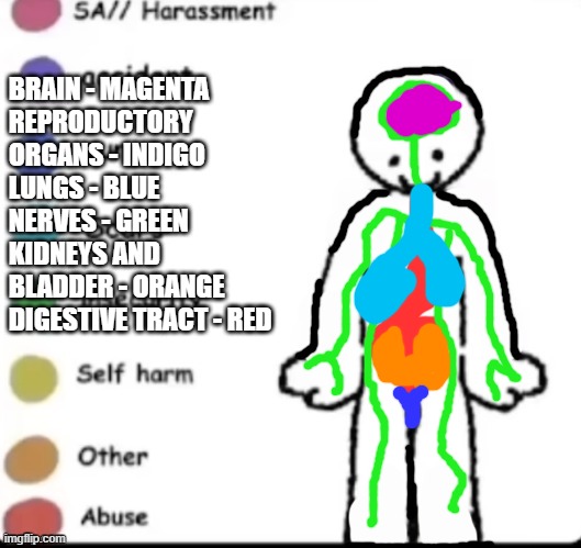 Make your own | BRAIN - MAGENTA
REPRODUCTORY ORGANS - INDIGO
LUNGS - BLUE
NERVES - GREEN
KIDNEYS AND BLADDER - ORANGE
DIGESTIVE TRACT - RED | image tagged in make your own | made w/ Imgflip meme maker