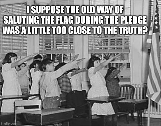 salute the flag | I SUPPOSE THE OLD WAY OF SALUTING THE FLAG DURING THE PLEDGE WAS A LITTLE TOO CLOSE TO THE TRUTH? | image tagged in flag,pledge,salute,indoctrination,heil | made w/ Imgflip meme maker