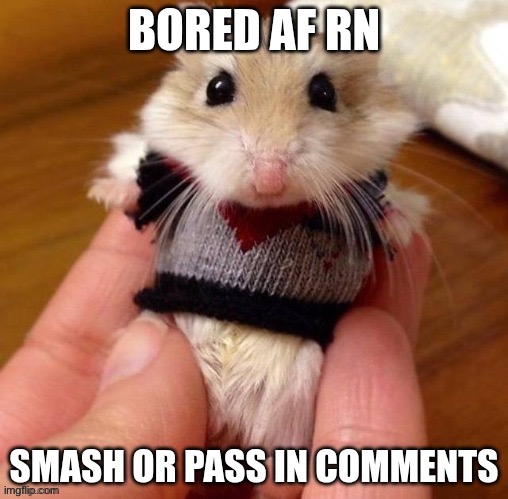 Only males yeah uhh bored | made w/ Imgflip meme maker