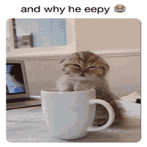and why he eepy | image tagged in and why he eepy | made w/ Imgflip meme maker