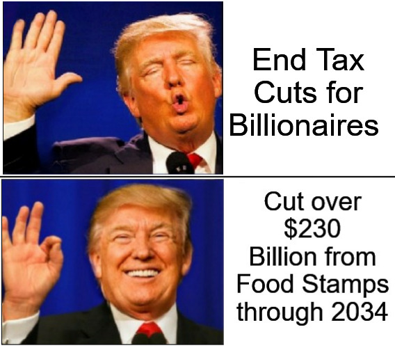 And his loyalty lies with... | End Tax Cuts for Billionaires | image tagged in trump no yes,donald trump,manga,current events,food stamps | made w/ Imgflip meme maker