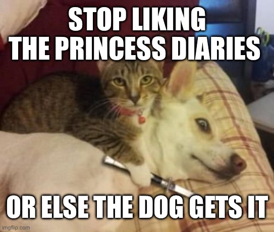 Stop Liking That Stupid Disney Movie | STOP LIKING THE PRINCESS DIARIES; OR ELSE THE DOG GETS IT | image tagged in the princess diaries,the princess diaries sucks,cat killing dog | made w/ Imgflip meme maker