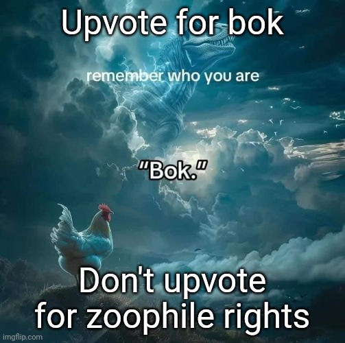 Bok | Upvote for bok; Don't upvote for zoophile rights | image tagged in bok,memes | made w/ Imgflip meme maker