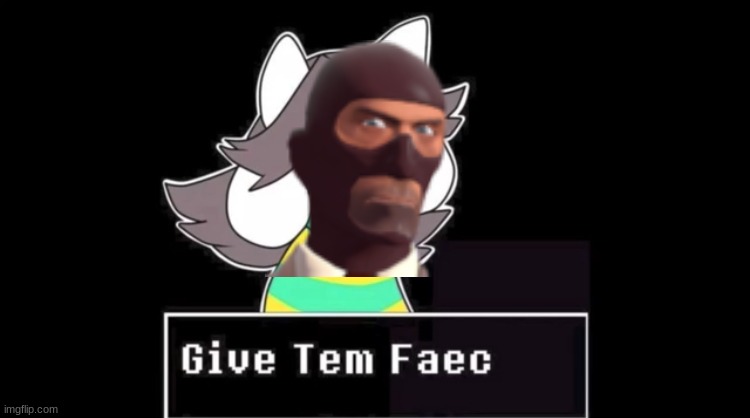 Give temmie a face | image tagged in give temmie a face | made w/ Imgflip meme maker