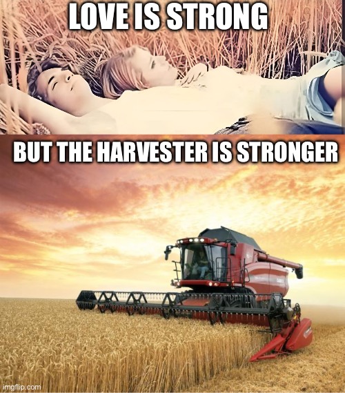 Love is strong | LOVE IS STRONG; BUT THE HARVESTER IS STRONGER | image tagged in harvest,strong,love story | made w/ Imgflip meme maker