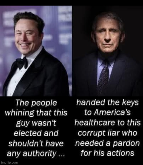 The truth hurts Democrats so much they just can't stop. They're too deep into their lies and anger to stop. | image tagged in democrats,elon musk,dr fauci,evil | made w/ Imgflip meme maker