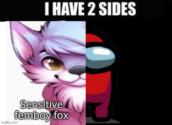 I have 2 sides | image tagged in i have 2 sides | made w/ Imgflip meme maker