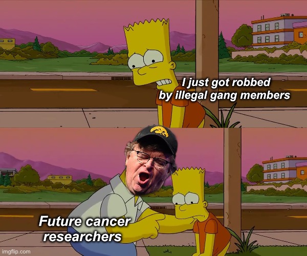 Research gang | I just got robbed by illegal gang members; Future cancer researchers | image tagged in homer and bart worst day so far,politics lol,memes | made w/ Imgflip meme maker