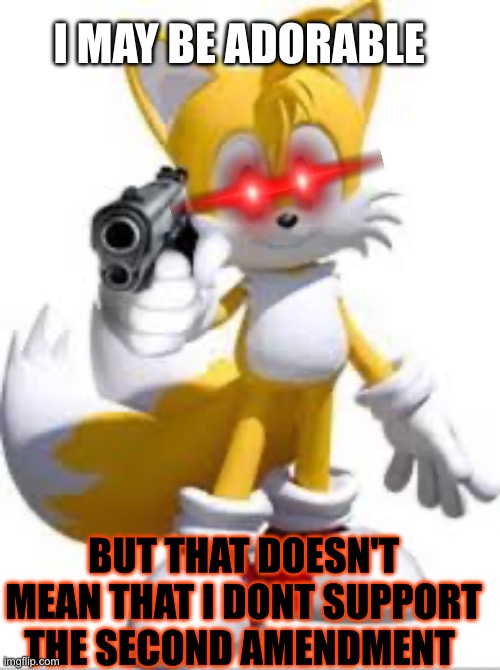 Tails with a f-ing gun | I MAY BE ADORABLE; BUT THAT DOESN'T MEAN THAT I DONT SUPPORT THE SECOND AMENDMENT | image tagged in tails the fox,gun | made w/ Imgflip meme maker