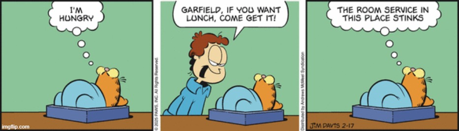 Garfield | image tagged in comics | made w/ Imgflip meme maker