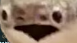 concerned fish Blank Meme Template