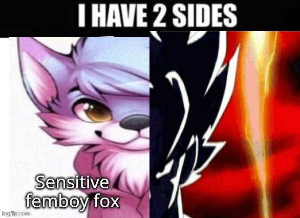 I have 2 sides | image tagged in i have 2 sides | made w/ Imgflip meme maker