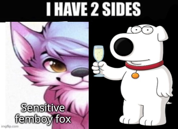 I have 2 sides | image tagged in i have 2 sides | made w/ Imgflip meme maker