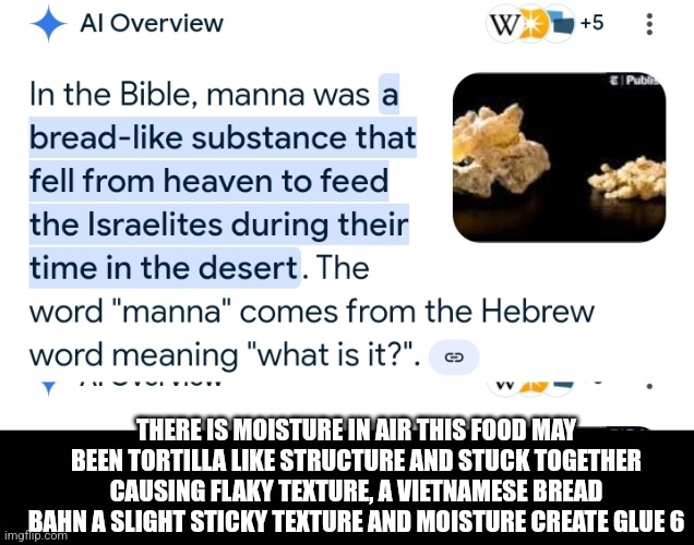 Reader's highgest: A CULINARY  school trained patriot decodes Bible secret | THERE IS MOISTURE IN AIR THIS FOOD MAY BEEN TORTILLA LIKE STRUCTURE AND STUCK TOGETHER CAUSING FLAKY TEXTURE, A VIETNAMESE BREAD BAHN A SLIGHT STICKY TEXTURE AND MOISTURE CREATE GLUE 6 | image tagged in decode,manna,food | made w/ Imgflip meme maker